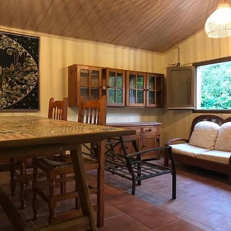 Els Avets De La Muga Bed & Breakfast Sant Llorenc de la Muga Ngoại thất bức ảnh
